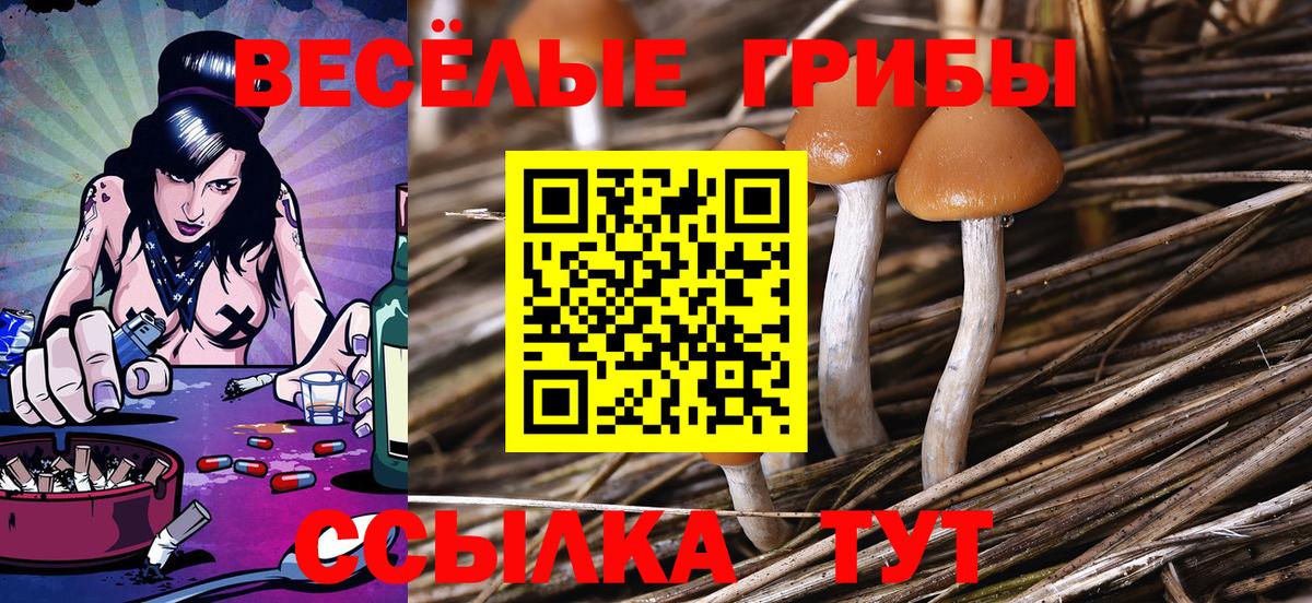 Белгород  Псилоцибиновые грибы MAGIC MUSHROOMS  Вход с VPN 